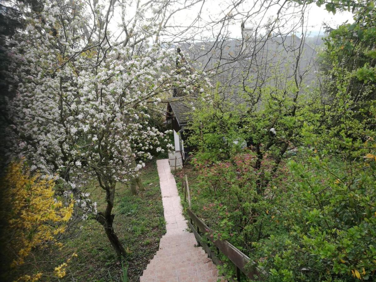 BankaSunset House Piestany Cervena Veza公寓 外观 照片