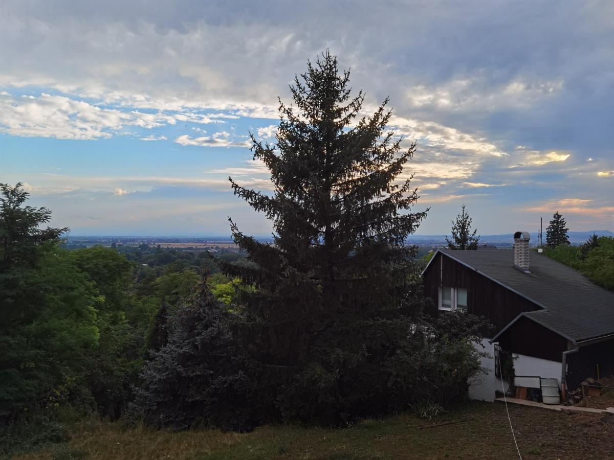 BankaSunset House Piestany Cervena Veza公寓 外观 照片